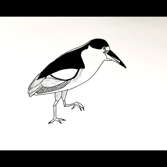 Hand-drawn Montessori wall art high contrast black & white baby prints - Picture 5 of 5